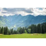 Kranjsko gozdarsko društvo