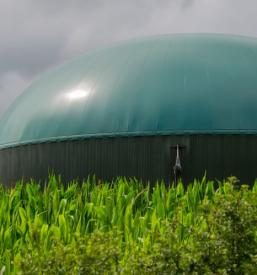 Biogasspeicher kaufen