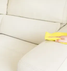 Ugodno čiščenje pohištva Grosuplje
