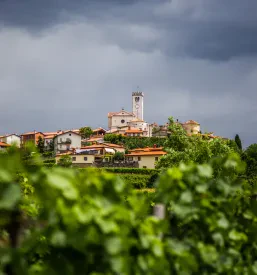 Goriška brda in kmečki turizem