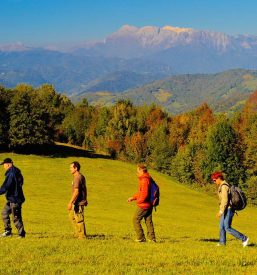 Camp Goriška