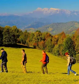 Camp Goriška