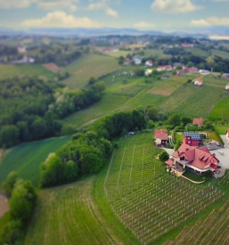 Turistična kmetija z apartmaji Pomurje