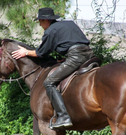 Jahanje Celje