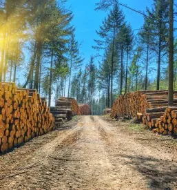 Agrarna skupnost Spodnje Pobrežje