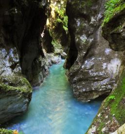 Nočitve Tolmin