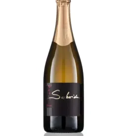 Vipava Valley sparkling wine