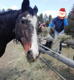 Jahanje za otroke Celje