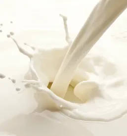 Prodaja mleka Logatec