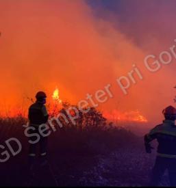 Prostovoljni gasilci Šempeter pri Gorici