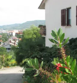 Apartma blizu plaže