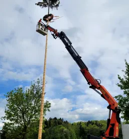 PGD Šentvid pri Grobelnem