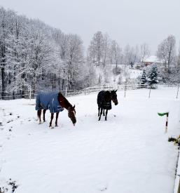 Tabor jahanja Slovenska Bistrica, Podravje