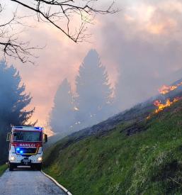 PGD Ledine, Spodnja Idrija