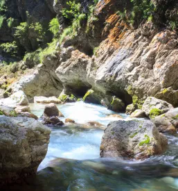 Nastanitev Tolmin