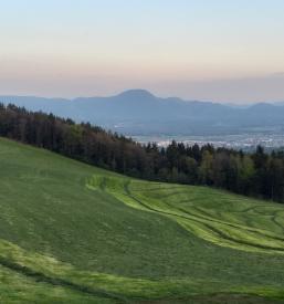 turistična kmetija štajerska razgled pohorje