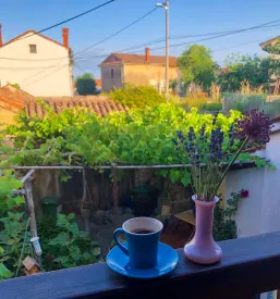 Jutro v Dutovljah