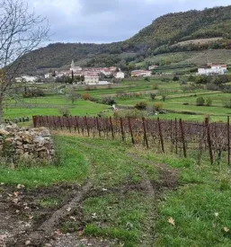Pohodniška pot Vipavska dolina