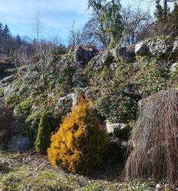 ugodno Urejanje zelenic Ajdovščina