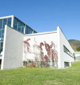 Optika Nova Gorica