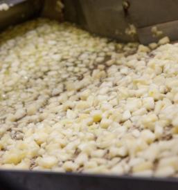 Fruit drying