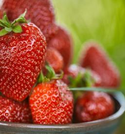 Günstiges Obst Österreich