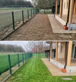 Travna ruša Pomurje