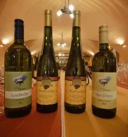 Vinske degustacije Pomurje