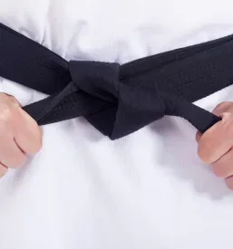 Karate Apače