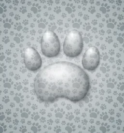 Veterinarska pomoč Ljubljana