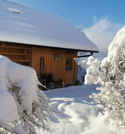 Ugoden najem glamping hiške