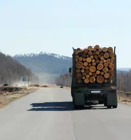Odvoz hlodovine Savinjska
