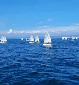 Organizacija jadralske regate Izola, Obala