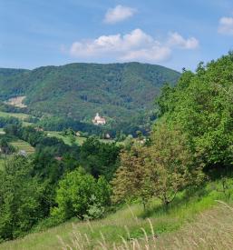 Brežice dogodki