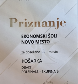 Srednješolski program Novo mesto