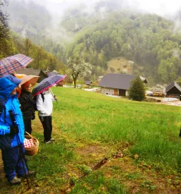 Društvo planincev Celje