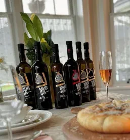 Spletna prodaja vina