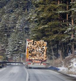 Hiter in ugoden transport hlodovine Slovenija