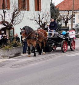 Prevoz s kočijo Maribor