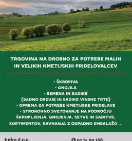 Semena Ormož