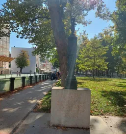 Aktivnosti za upokojence Logatec