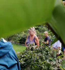 Društvo zeliščarjev Ginko Celje