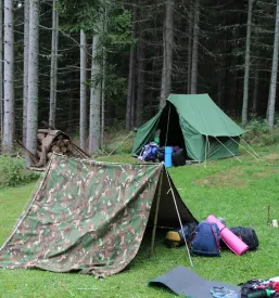 Rod Mrzli studenec Mislinja