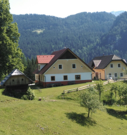 Družinske počitnice na turistični kmetiji Gradišnik, Solčava