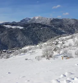 Dogodki Dražgoše