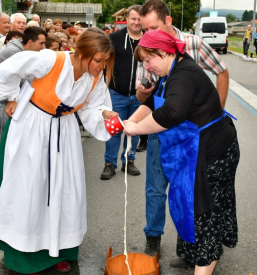 Organizacija prireditev Straža