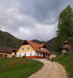 Dopust na turistični kmetiji Gradišnik, Solčava