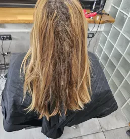 Ravnanje las Sežana