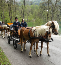 Vožnja s kočijo Planina pod Golico