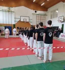 Vpis v klub borilnih veščin Ju-Jitsu Fudoshin Savinjska